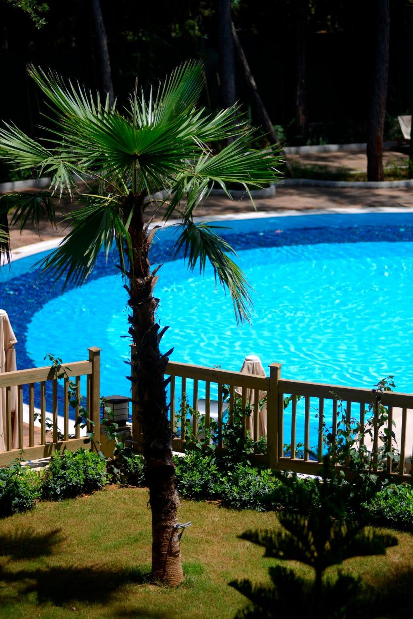 Wome Deluxe Hotel Avsallar Dış mekan fotoğraf
